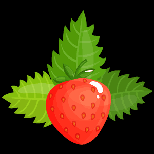 fruit004