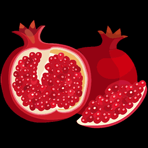 fruit005